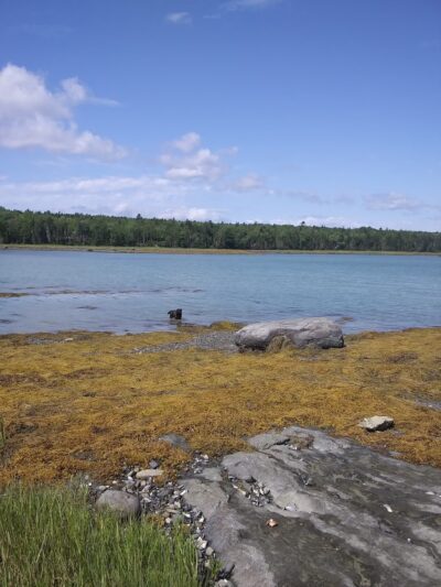 Lamoine Beach Park - Lamoine, ME