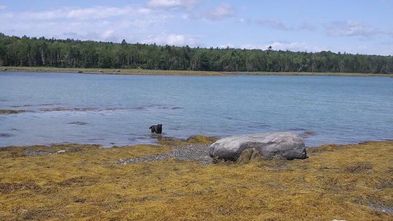 Lamoine Beach Park - Lamoine, ME