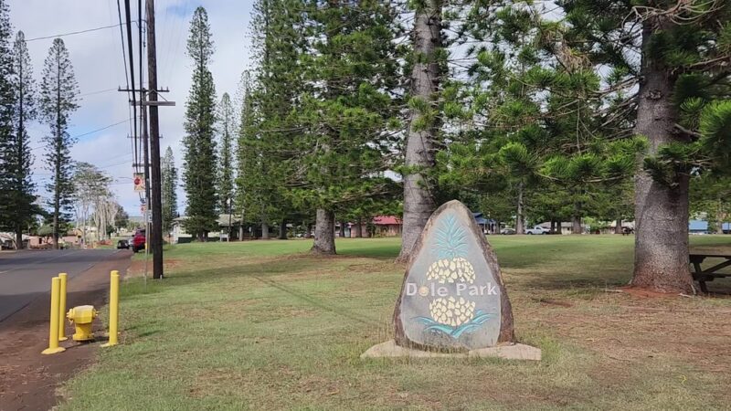 Dole Park - Lanai City, HI