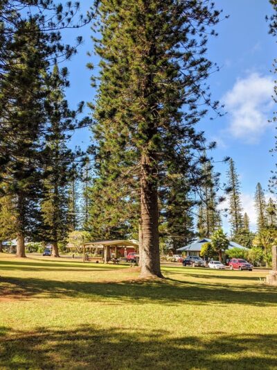 Dole Park - Lanai City, HI