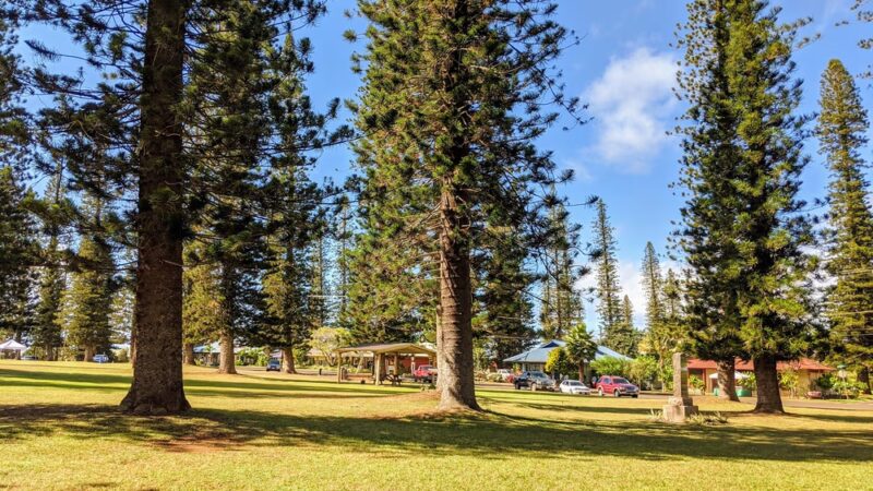 Dole Park - Lanai City, HI