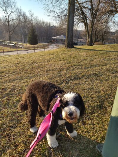 New Garden Township Park - Landenberg, PA