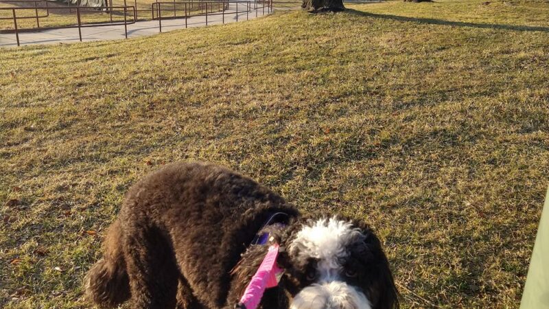New Garden Township Park - Landenberg, PA