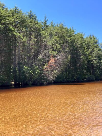 Dudley Park - Lanoka Harbor, NJ