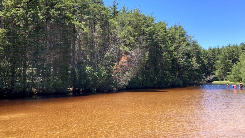Dudley Park - Lanoka Harbor, NJ