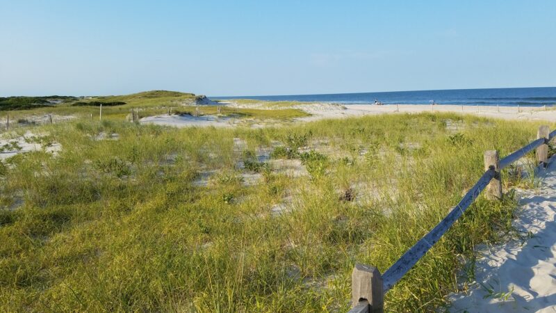 Island Beach State Park - Lanoka Harbor, NJ