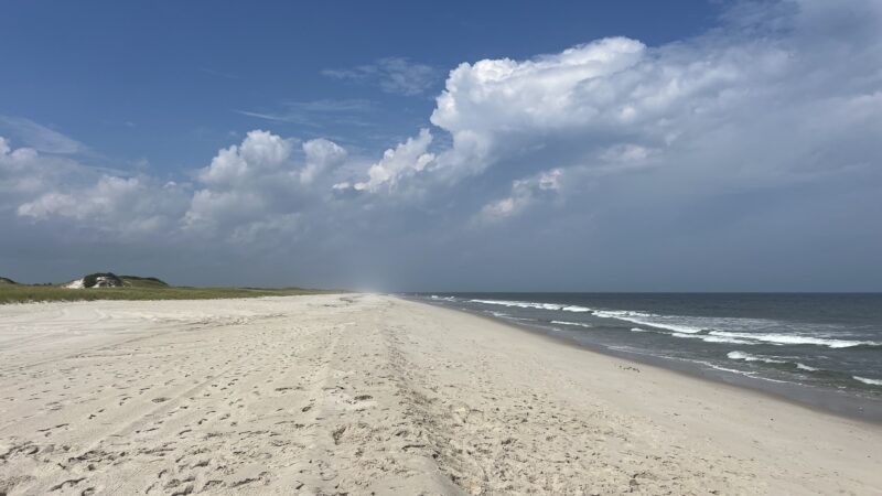 Island Beach State Park - Lanoka Harbor, NJ