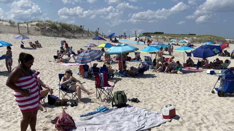 Island Beach State Park - Lanoka Harbor, NJ