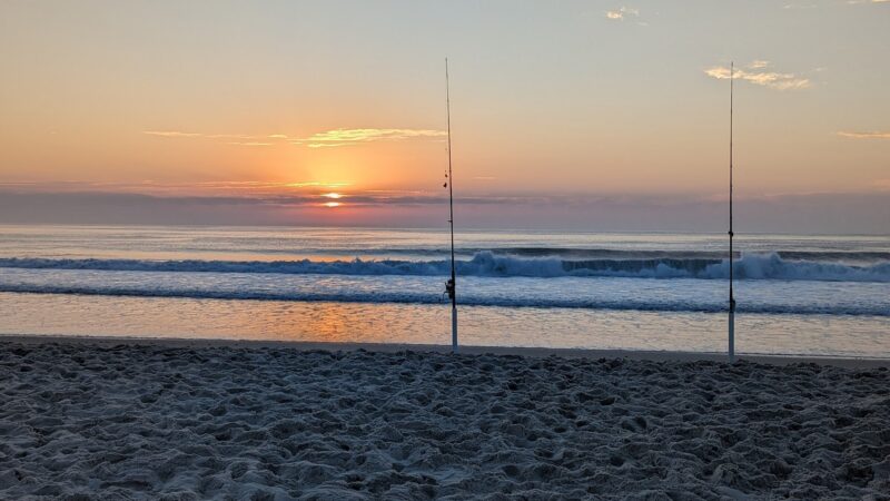 Island Beach State Park - Lanoka Harbor, NJ