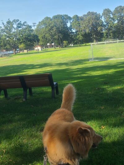 William Hebrew Park - Lanoka Harbor, NJ