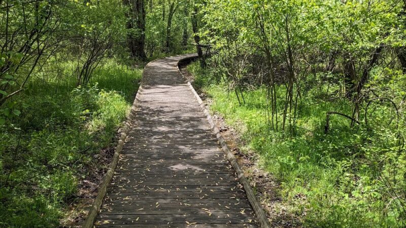 Stony Creek Park - Lansdale, PA