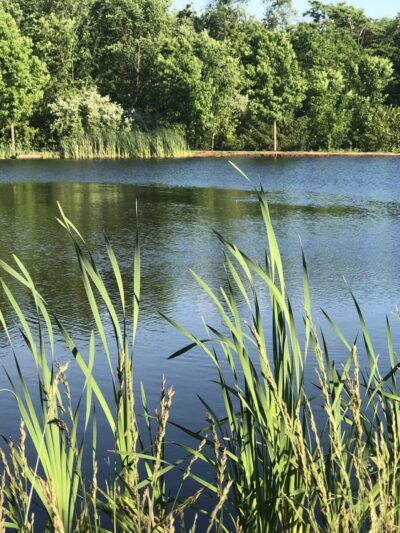 Stony Creek Park - Lansdale, PA