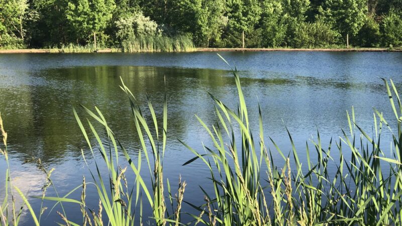 Stony Creek Park - Lansdale, PA