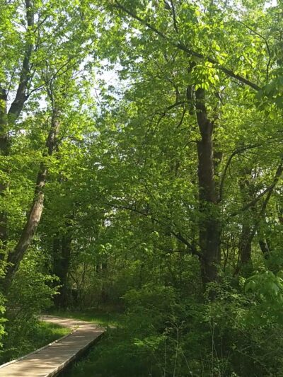 Whites Road Park - Lansdale, PA