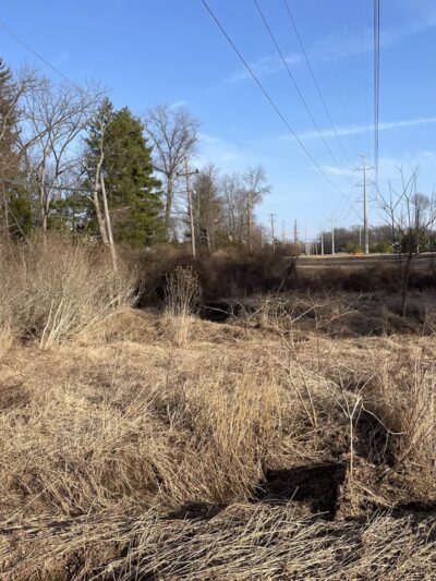 Willow Street Park - Lansdale, PA