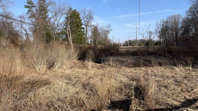 Willow Street Park - Lansdale, PA