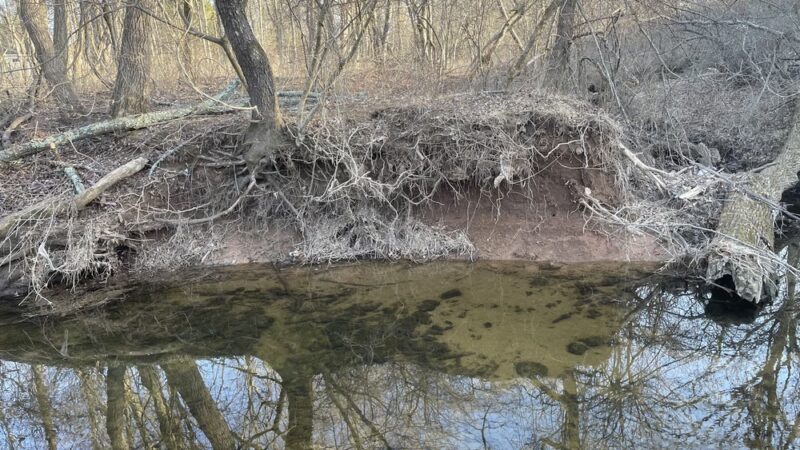 Willow Street Park - Lansdale, PA