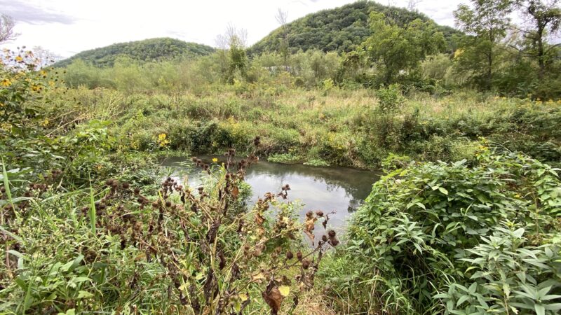 Clear Creek Park - Lansing, IA