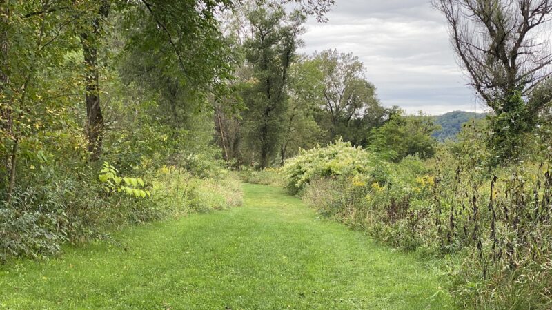 Clear Creek Park - Lansing, IA