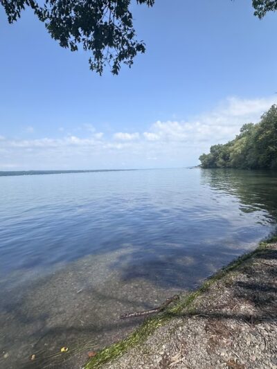 Cayuga Shores Wildlife Management Area (Formally Bell Station Preserve) - Lansing, NY