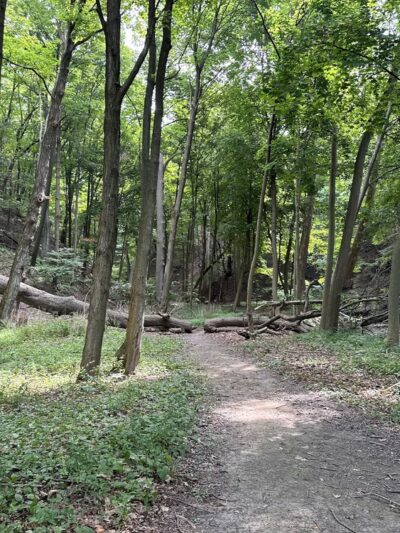 Cayuga Shores Wildlife Management Area (Formally Bell Station Preserve) - Lansing, NY