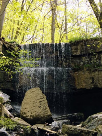 Cayuga Shores Wildlife Management Area (Formally Bell Station Preserve) - Lansing, NY