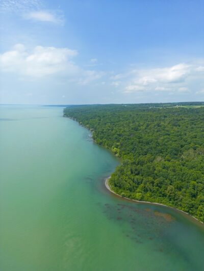 Cayuga Shores Wildlife Management Area (Formally Bell Station Preserve) - Lansing, NY