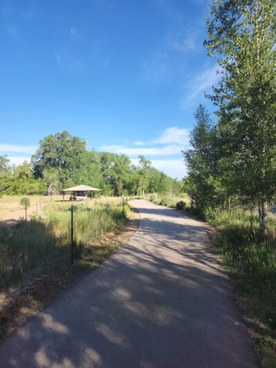 Lions Open Space - Laporte, CO