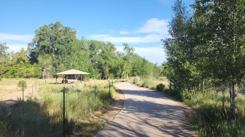 Lions Open Space - Laporte, CO