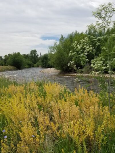 Lions Open Space - Laporte, CO
