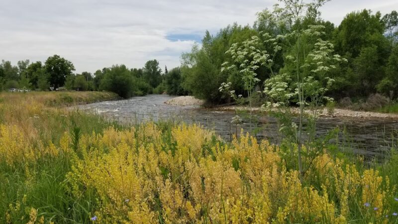 Lions Open Space - Laporte, CO