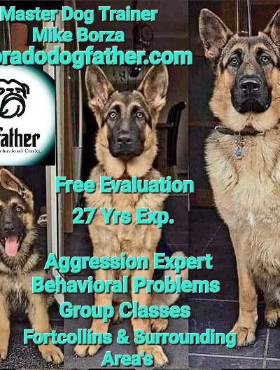 The DogFather Behavioral and Training Center - Laporte, CO