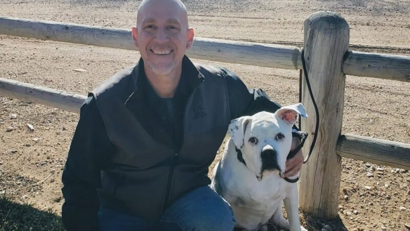 The DogFather Behavioral and Training Center - Laporte, CO