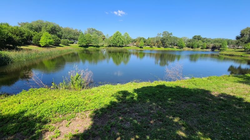 Dog Park & Bone Run - Largo, FL