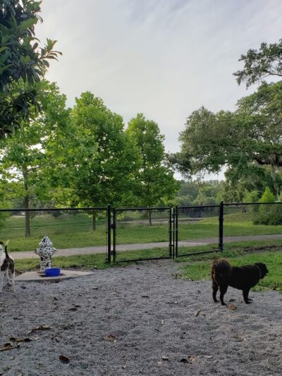 Dog Park & Bone Run - Largo, FL