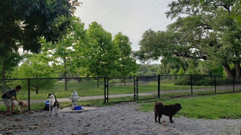 Dog Park & Bone Run - Largo, FL