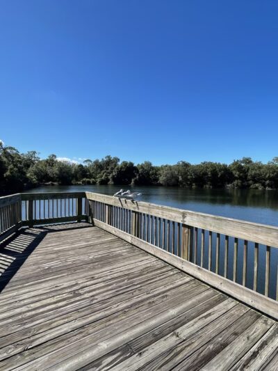 Eagle Lake Park - Largo, FL