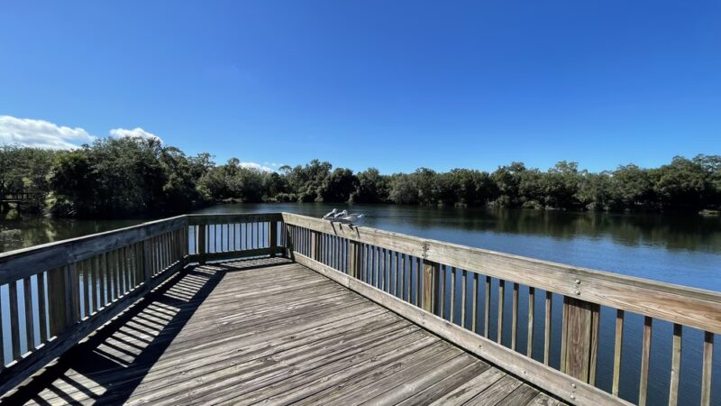Eagle Lake Park - Largo, FL