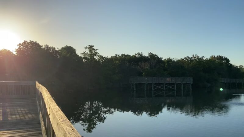 Eagle Lake Park - Largo, FL