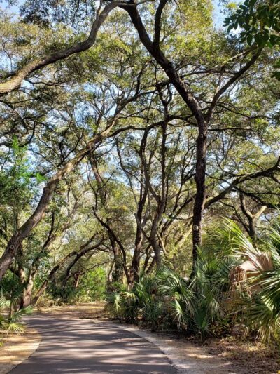 Eagle Lake Park - Largo, FL