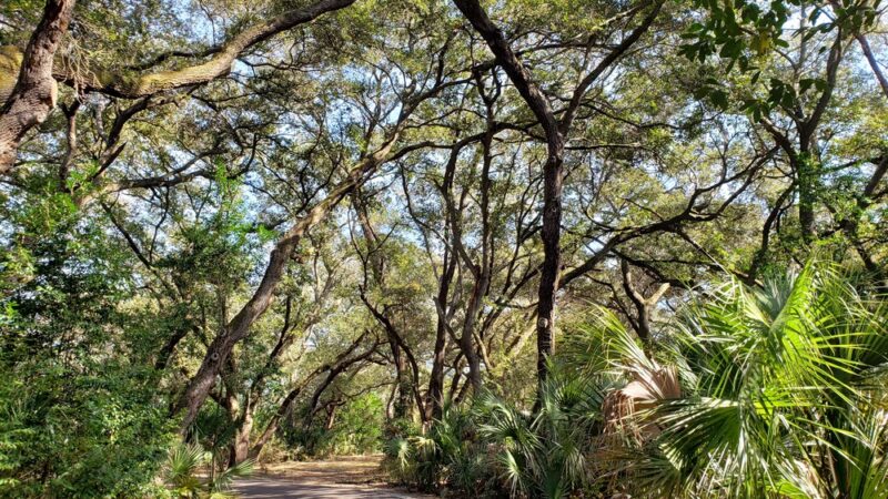 Eagle Lake Park - Largo, FL