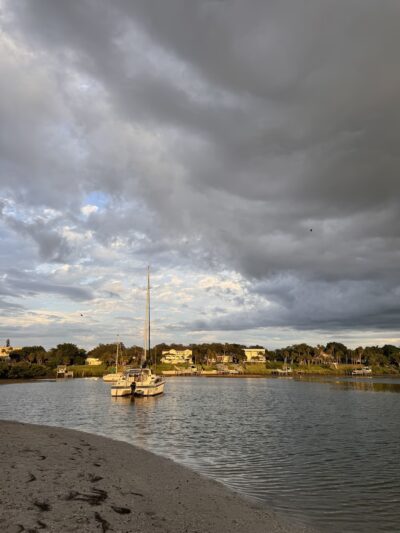 Oreo Dog Beach - Largo, FL