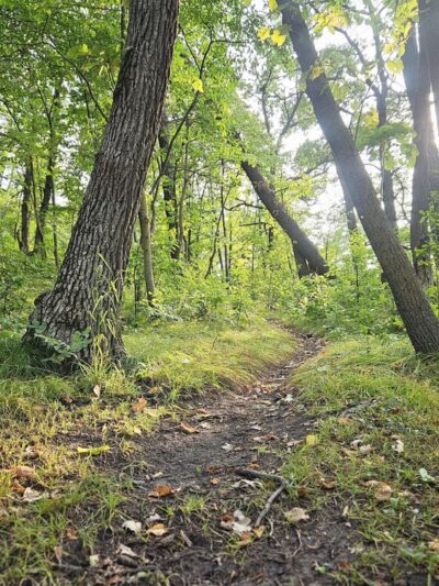 Grand Forks County Larimore Dam Recreation Area - Larimore, ND