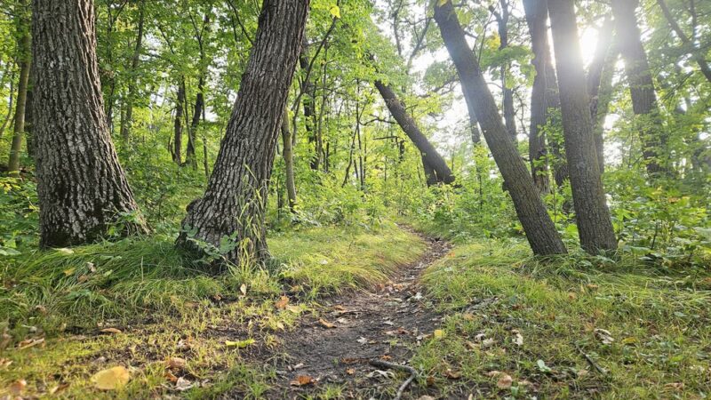 Grand Forks County Larimore Dam Recreation Area - Larimore, ND