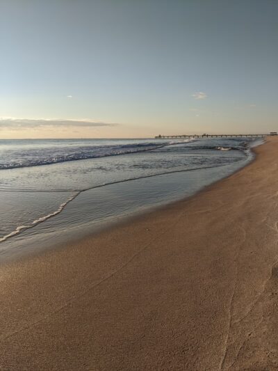 Washingtonia Beach - Lauderdale-By-The-Sea, FL