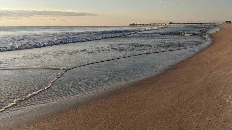 Washingtonia Beach - Lauderdale-By-The-Sea, FL