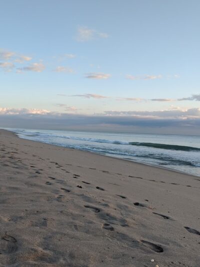 Washingtonia Beach - Lauderdale-By-The-Sea, FL