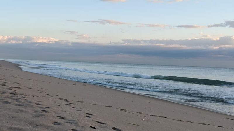 Washingtonia Beach - Lauderdale-By-The-Sea, FL