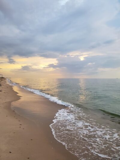 Washingtonia Beach - Lauderdale-By-The-Sea, FL