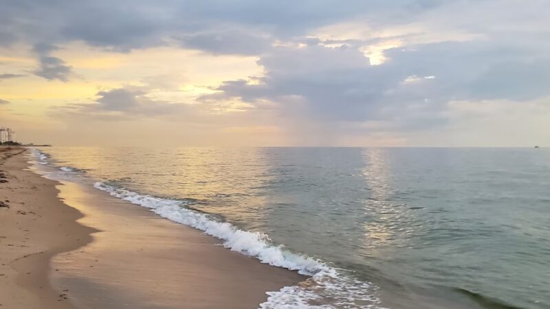 Washingtonia Beach - Lauderdale-By-The-Sea, FL